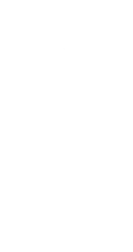 Section Shape Image